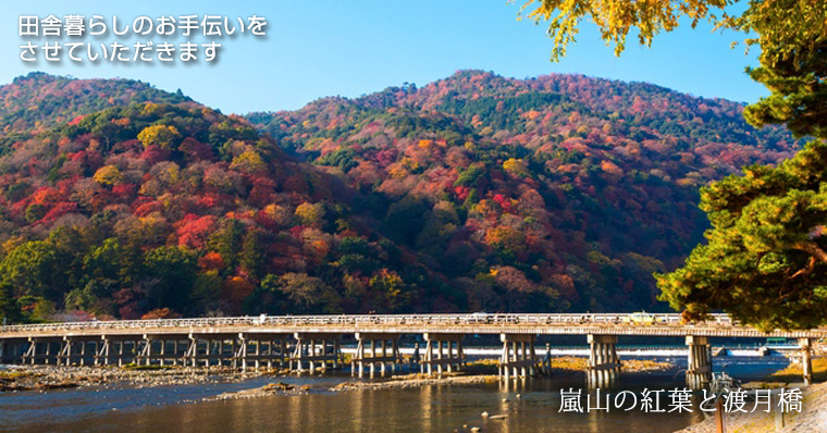 嵐山の紅葉と渡月橋